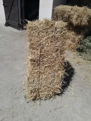 Baloti paie 400 buc.