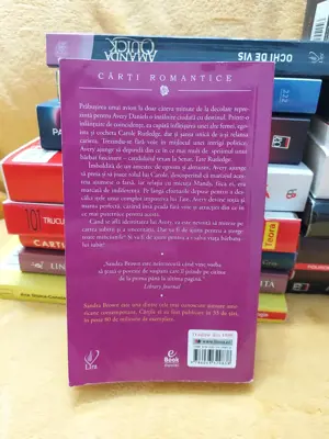 Cartea Dublura by Sandra Brown - imagine 2