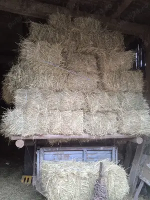 Vând baloți de fân