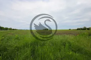 Teren de vanzare in Manesti, Prahova | 18.000 mp | Deschidere 60 ml