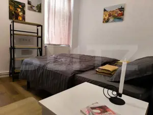 Apartament cu 3 camere, 47 mp, zona Centrala - imagine 10