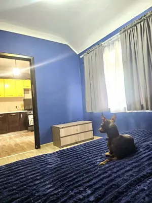 Garsoniera in zona Piata Unirii