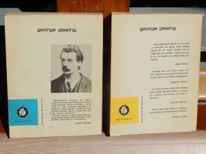 Noua strada Grub George Gissing set complet 2 volume 1978 - imagine 3