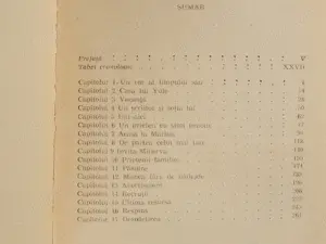 Noua strada Grub George Gissing set complet 2 volume 1978 - imagine 5