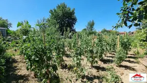 Casa finisata in Lazuri cu teren 1452 mp - imagine 13