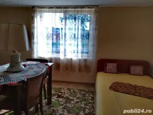 Vând sau schimb casa abundenței duplex, zonă turistică Mănăștiur, Timiș, Renovată La Cheie - imagine 8