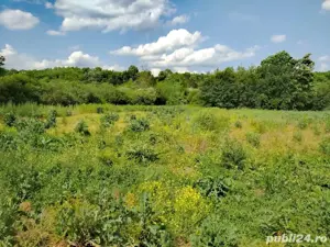 Vând sau schimb casa abundenței duplex, zonă turistică Mănăștiur, Timiș, Renovată La Cheie - imagine 10