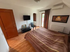 Casă P+M+Pod în Fundeni, compartimentare practică, teren 1.770 mp - imagine 4