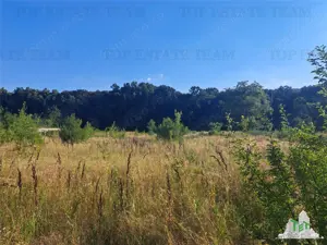 Casa cu teren 3579mp in com. Cascioarele, Jud. Giurgiu - imagine 5