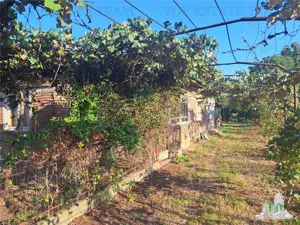 Casa cu teren 3579mp in com. Cascioarele, Jud. Giurgiu - imagine 3