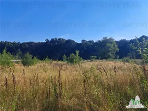 Casa cu teren 3579mp in com. Cascioarele, Jud. Giurgiu - imagine 6