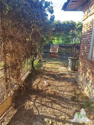 Casa cu teren 3579mp in com. Cascioarele, Jud. Giurgiu - imagine 2