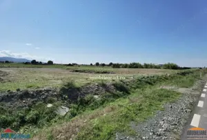 Teren 1.500 sau 750mp la intrare in Siria, F.S. 56 ml pe DJ vizavi de Peco - imagine 8