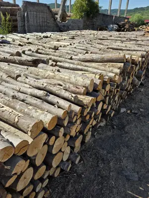 Lemn de foc fag-carpen, tăiat și crăpat, livrare inclusă - imagine 2