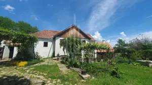 Casa Saseasca de vanzare  in  Somartin  / Comision O %