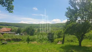 Teren  in Somartin . Comision 0%