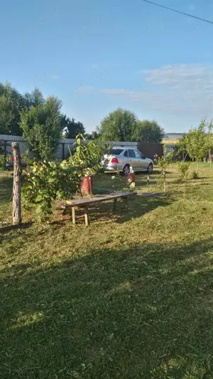 Casa de vânzare în Podu Turcului  - imagine 8