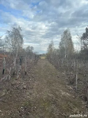 Super Ofertă! Teren Intravilan+Extravilan Gorj - imagine 5