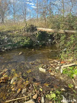 Super Ofertă! Teren Intravilan+Extravilan Gorj - imagine 3