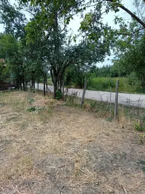 Casa și  grădina 2100 mp - imagine 9