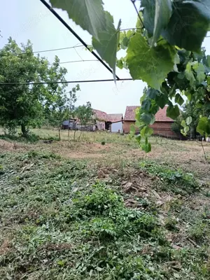 Casa și  grădina 2100 mp - imagine 8