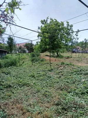 Casa și  grădina 2100 mp - imagine 7