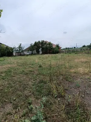 Casa și  grădina 2100 mp - imagine 3