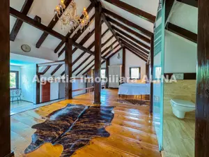 Casa LA CHEIE si teren 20.764 mp in Deva, zona Archia, Jud. Hunedoara. - imagine 20