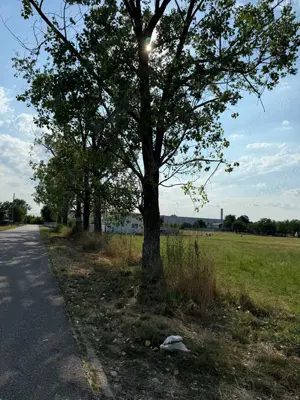 Parcela teren Florești