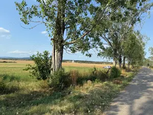 Parcela teren Florești  - imagine 4