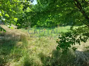 Teren intravilan construibil - imagine 4