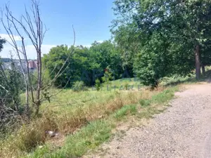 Teren intravilan construibil - imagine 3