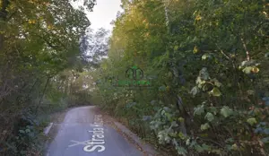 Teren Ramnicu Valcea / 28 Ha - imagine 3