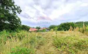 Casă / Vilă cu 2 camere de vânzare - imagine 8