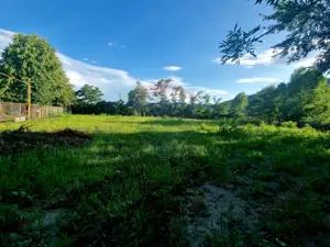 Teren 1,749mp Piatra-Neamt / Strada Zambilelor - imagine 11