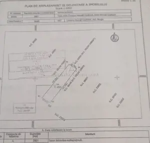 Teren intravilan 2.500 mp – Adunații Copăceni | Container inclus + puț - imagine 2