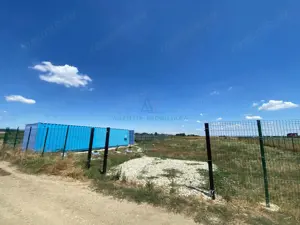 Teren intravilan 2.500 mp – Adunații Copăceni | Container inclus + puț - imagine 3