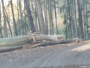 Teren agrement langa Ștrandul Termal Căciulata  - imagine 4
