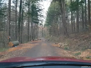 Teren agrement langa Ștrandul Termal Căciulata  - imagine 9