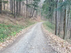 Teren agrement langa Ștrandul Termal Căciulata  - imagine 6
