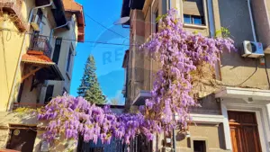 Apartament cu 3 camere de închiriat în zona P-ta Romana - imagine 11
