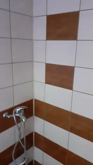 Vând casa 3 cam.in Doman - imagine 8