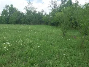 Vând teren intravilan - imagine 3