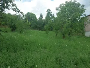 Vând teren intravilan - imagine 5