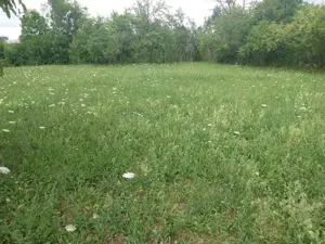 Vând teren intravilan - imagine 7