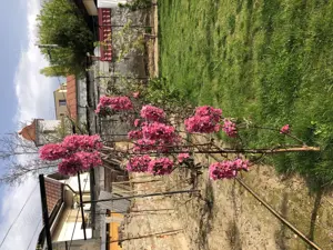 Casă vânzare Casa Tineretului Craiova - imagine 6