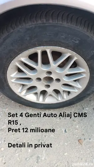 Set 4 Genti Auto Aliaj CMS 