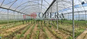 Oportunitate de investitie! Cladire + sera, de vanzare, Aroneanu - Rediu Aldei