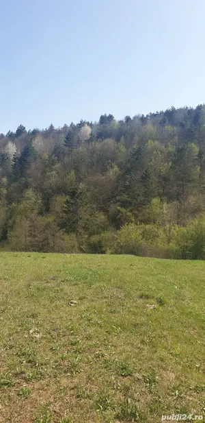 Vând teren intravilan  - imagine 3