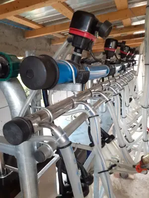 Aparat muls oi si capre 12 posturi - imagine 5